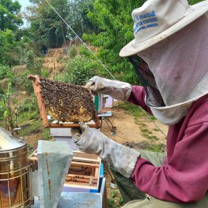 5EOB Farm Honey