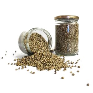 Hemp Seeds