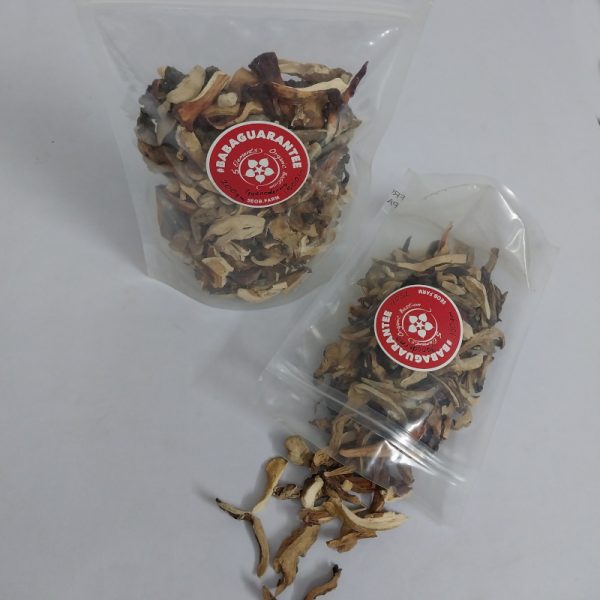 Reish Mushroom